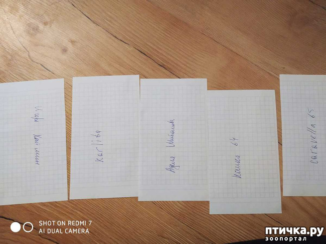 ���� 3: ���! ����� ���������� ������!