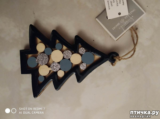 ���� 4: ���! ����� ���������� ������!