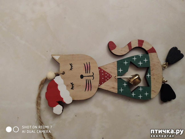 ���� 5: ���! ����� ���������� ������!