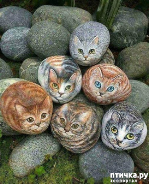 ����: ������� ���� � ��������� �������.