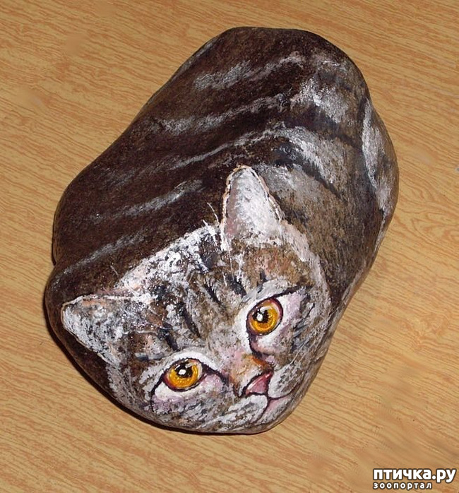 ���� 5: ������� ���� � ��������� �������.