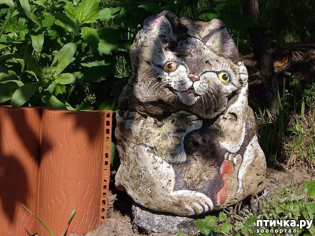 ���� 6: ������� ���� � ��������� �������.