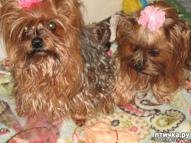 ���� 14: ������� ���� � ��������� �������.