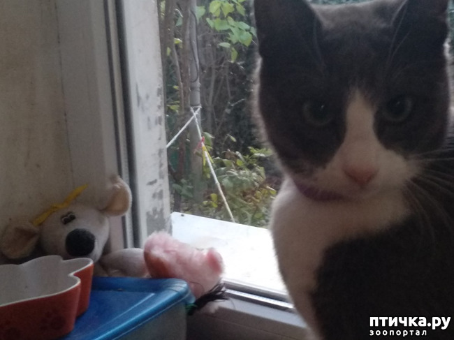 ���� 18: ����� �� ������, ����� � ������.