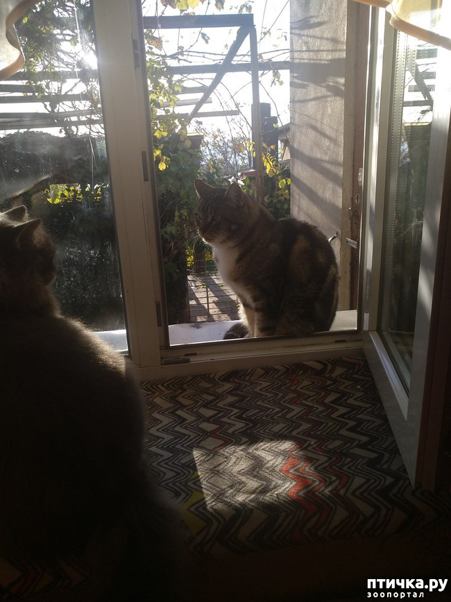 ���� 19: ����� �� ������, ����� � ������.