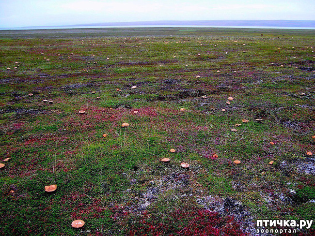 ���� 18: ������ ��� ��������� �� ���� �����!