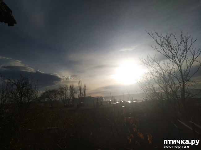 ���� 20: ����� �� ������, ����� � ������.