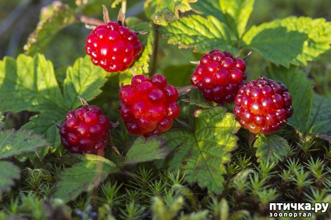 ���� 17: ������ ��� ��������� �� ���� �����!