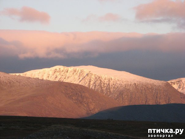 ���� 1: ������ ��� ��������� �� ���� �����!