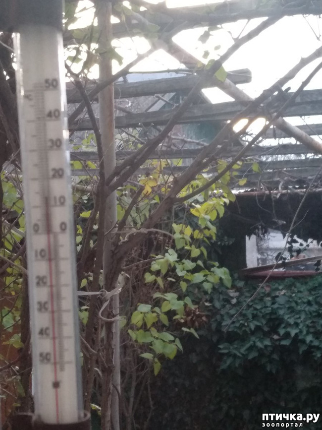 ���� 3: ����� �� ������, ����� � ������.