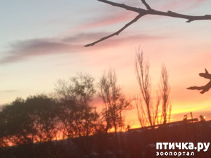 ����: ����� �� ������, ����� � ������.