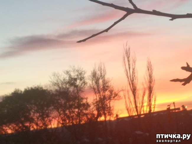 ���� 1: ����� �� ������, ����� � ������.