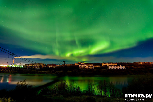 ���� 5: ������ ��� ��������� �� ���� �����!