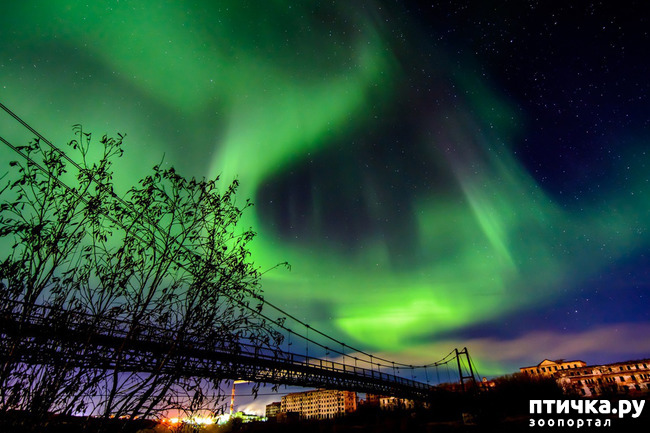 ���� 6: ������ ��� ��������� �� ���� �����!