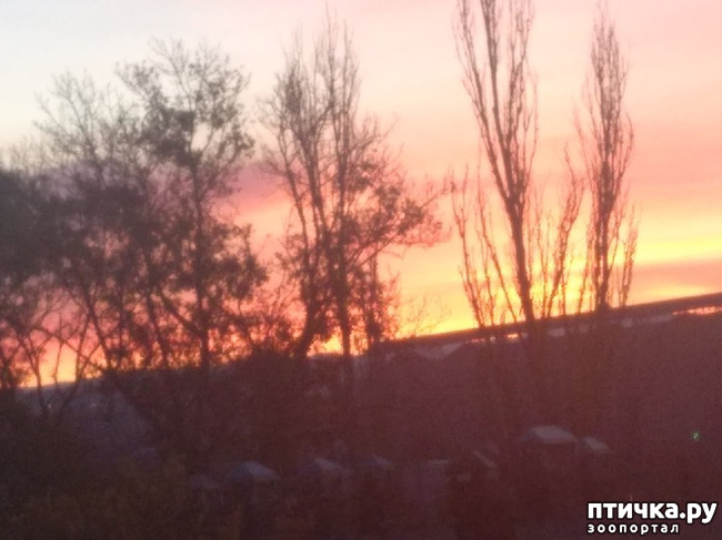 ���� 2: ����� �� ������, ����� � ������.