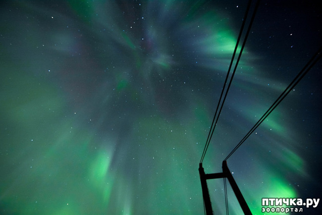 ���� 7: ������ ��� ��������� �� ���� �����!