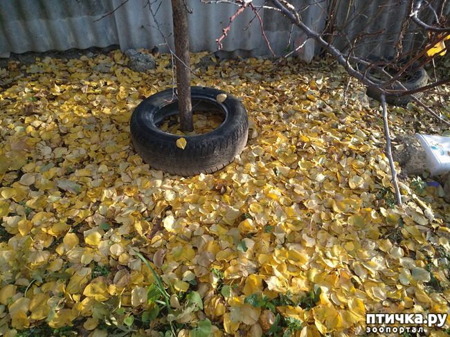 ���� 4: ����� �� ������, ����� � ������.