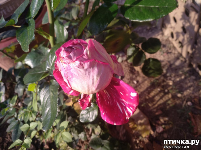 ���� 6: ����� �� ������, ����� � ������.