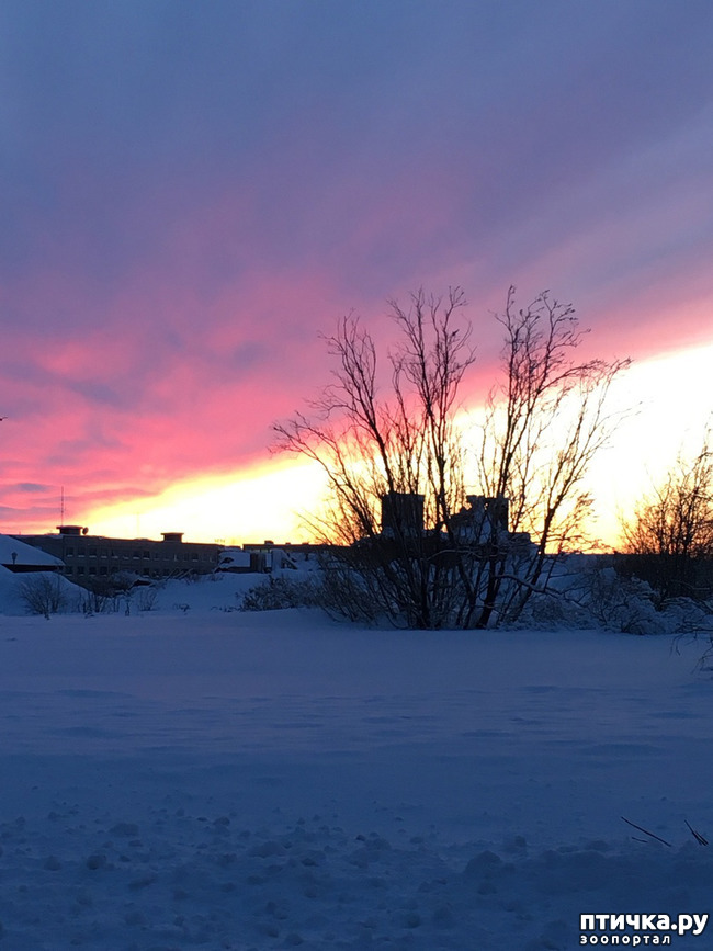 ���� 3: ������ ��� ��������� �� ���� �����!