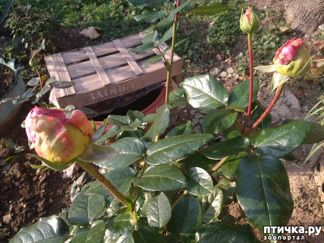 ���� 7: ����� �� ������, ����� � ������.