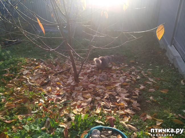 ���� 9: ����� �� ������, ����� � ������.