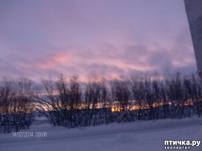 ���� 4: ������ ��� ��������� �� ���� �����!