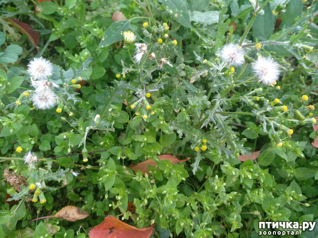 ���� 10: ����� �� ������, ����� � ������.