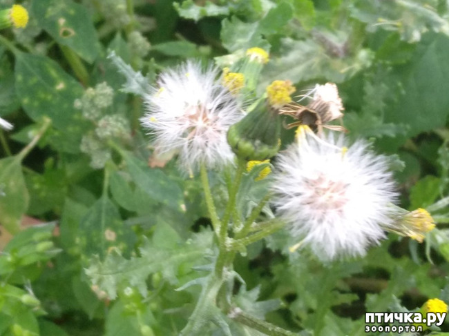 ���� 11: ����� �� ������, ����� � ������.