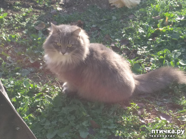 ���� 12: ����� �� ������, ����� � ������.