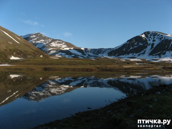 ���� 8: ������ ��� ��������� �� ���� �����!