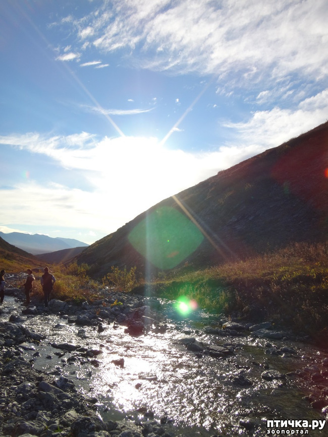 ���� 9: ������ ��� ��������� �� ���� �����!