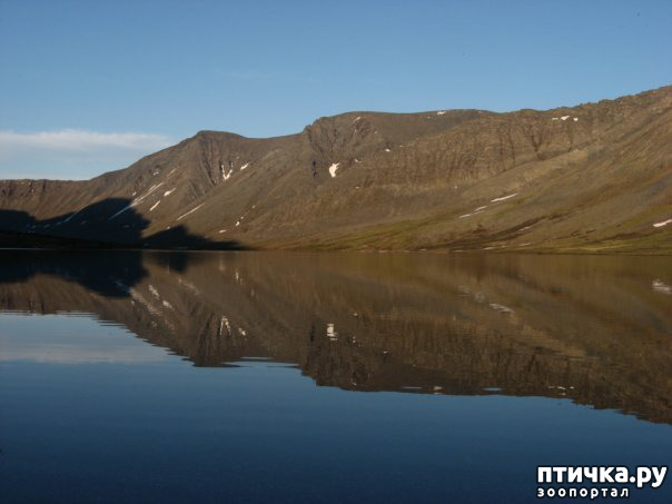 ���� 10: ������ ��� ��������� �� ���� �����!