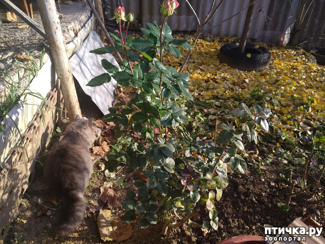 ���� 8: ����� �� ������, ����� � ������.