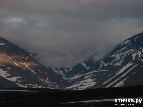 ���� 11: ������ ��� ��������� �� ���� �����!