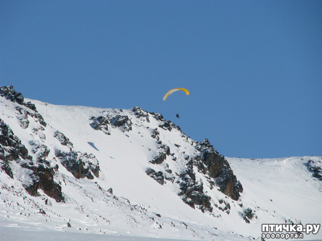 ���� 12: ������ ��� ��������� �� ���� �����!