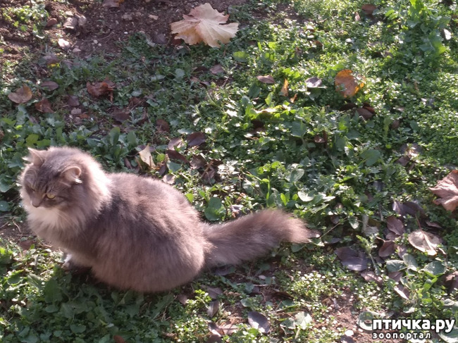 ���� 13: ����� �� ������, ����� � ������.