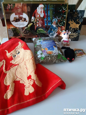 ����: �������� ������ ����!