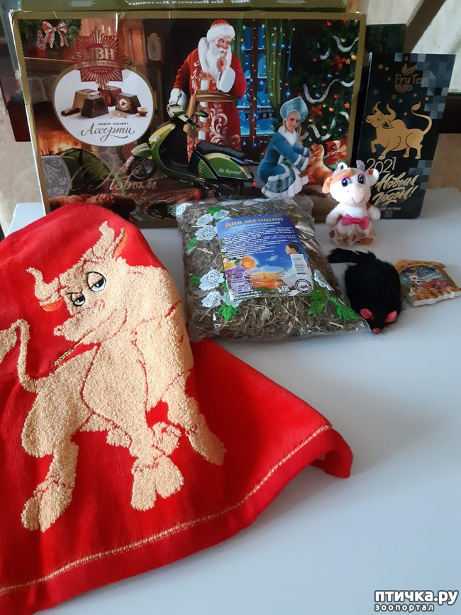 ���� 1: �������� ������ ����!