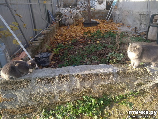 ���� 14: ����� �� ������, ����� � ������.