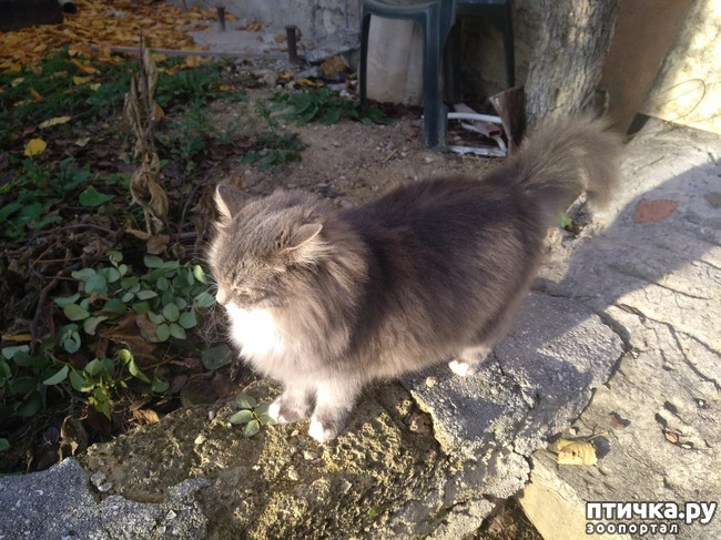 ���� 15: ����� �� ������, ����� � ������.