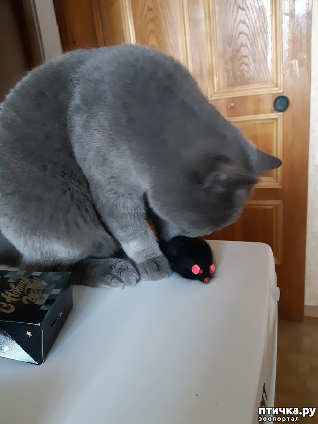 ���� 2: �������� ������ ����!