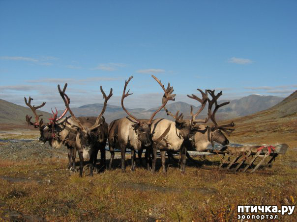 ���� 13: ������ ��� ��������� �� ���� �����!