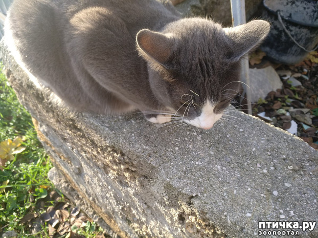 ���� 16: ����� �� ������, ����� � ������.