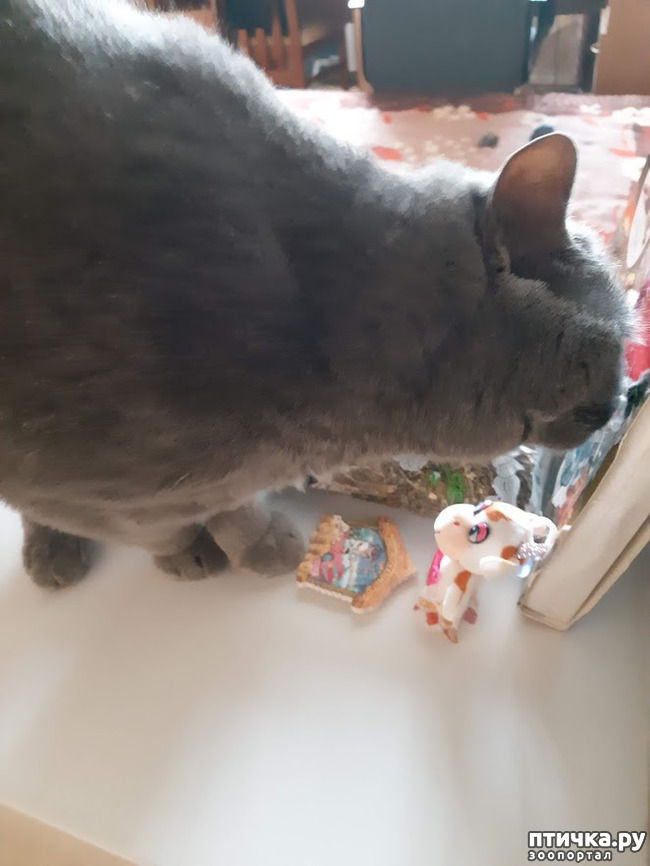 ���� 3: �������� ������ ����!