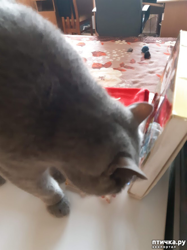 ���� 4: �������� ������ ����!