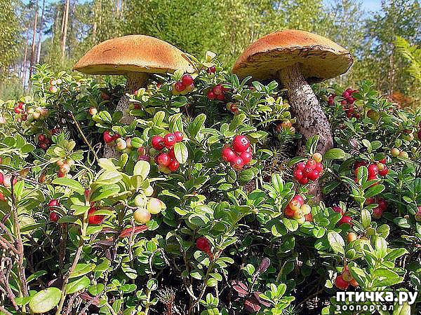 ���� 15: ������ ��� ��������� �� ���� �����!