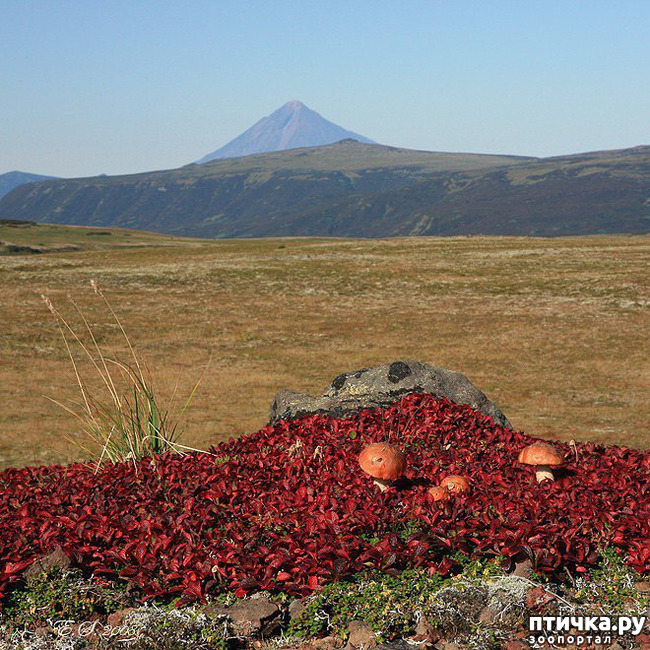 ���� 16: ������ ��� ��������� �� ���� �����!