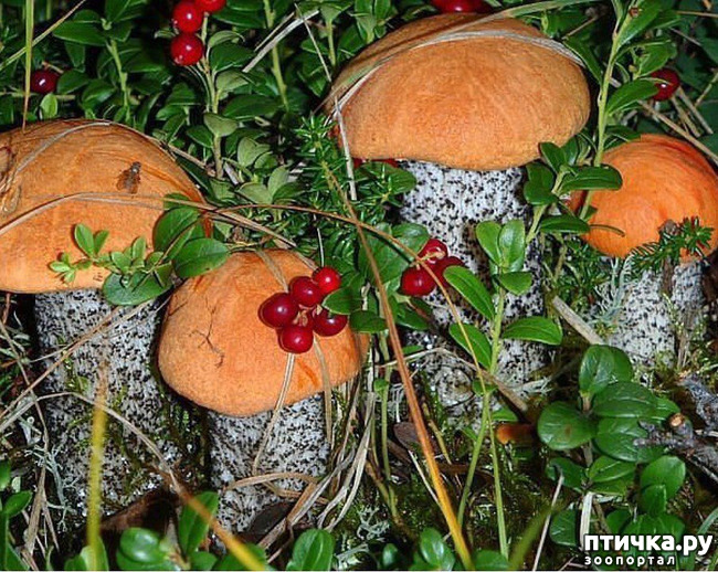 ���� 8: ������ ��� ��������� �� ���� �����! ����� 2.