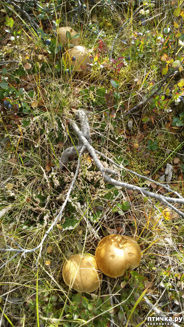 ���� 9: ������ ��� ��������� �� ���� �����! ����� 2.