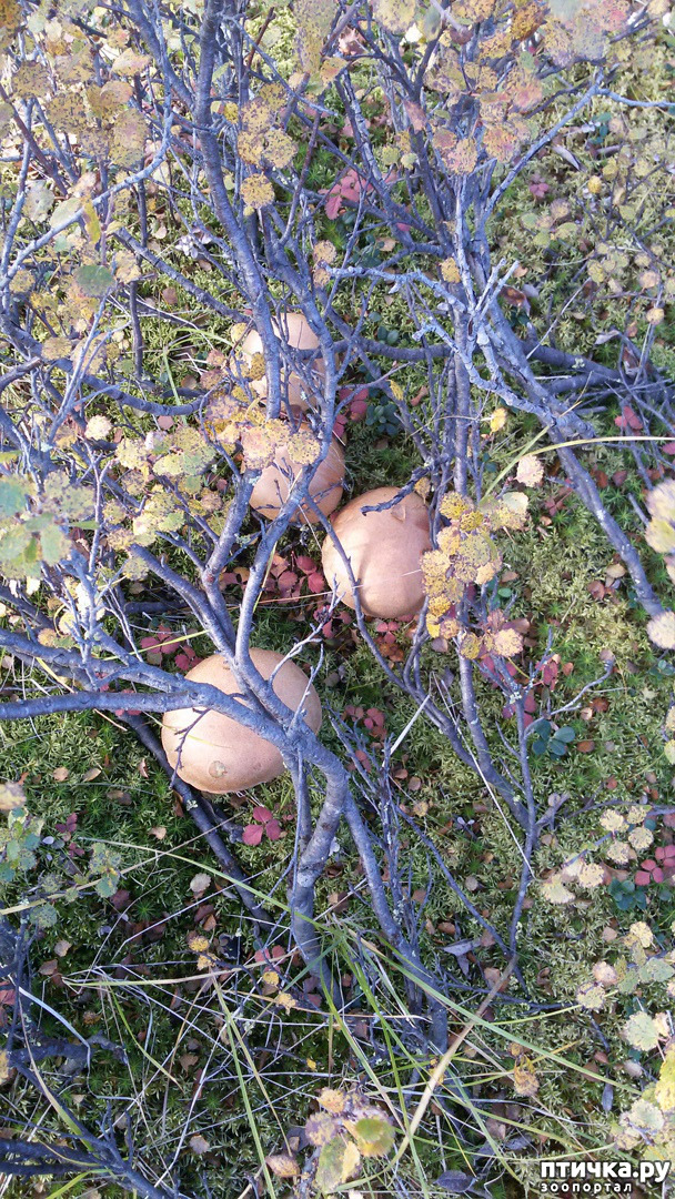 ���� 10: ������ ��� ��������� �� ���� �����! ����� 2.